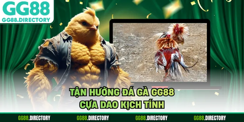 Tận hưởng đá gà GG88 cựa dao kịch tính